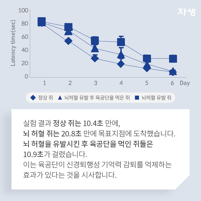 그래프 - 육공단이 신경퇴행성 기억력 감퇴를 억제하는 효과가 있다는 것을 시사 - 알기 쉬운 연구 이야기 | 자생의료재단