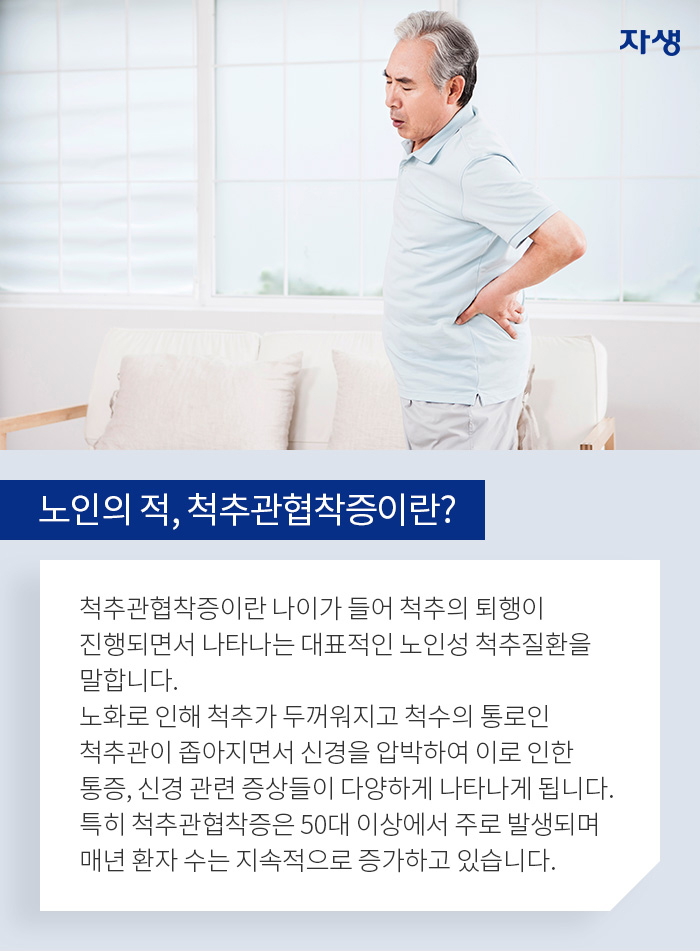 노인의 적, 척추관협착증이란? - 척추관협착증이란 나이가 들어 척추의 퇴행이 진행되면서 나타나는 대표적인 노인성 척추질환을 말합니다. 노화로 인해 척추가 두꺼워지고 척수의 통로인 척추관이 좁아지면서 신경을 압박하여 이로 인한 통증, 신경 관련 증상들이 다양하게 나타나게 됩니다. 특히 척추관협착증은 50대 이상에서 주로 발생되며 매년 환자 수는 지속적으로 증가하고 있습니다.