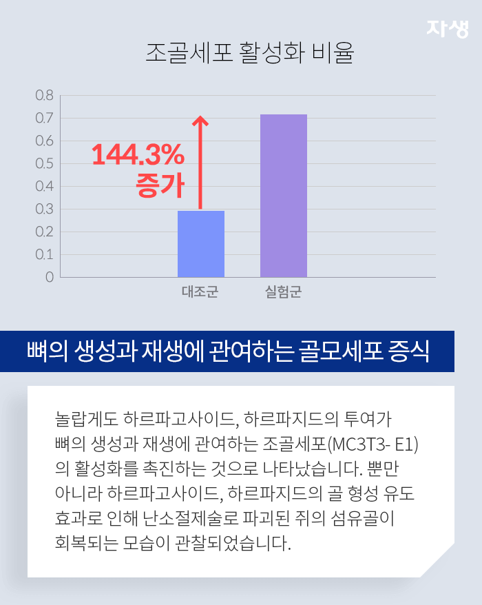 뼈의 생성과 재생에 관여하는 골모세포 증식 - 놀랍게도 하르파고사이드, 하르파지드의 투여가 뼈의 생성과 재생에 관여하는 조골세포(MC3T3-E1)의 활성화를 촉진하는 것으로 나타났습니다. 뿐만 아니라 하르파고사이드, 하르파지드의 골 형성 유도 효과로 인해 난소절제술로 파괴된 쥐의 섬유골이 회복되는 모습이 관찰되었습니다.